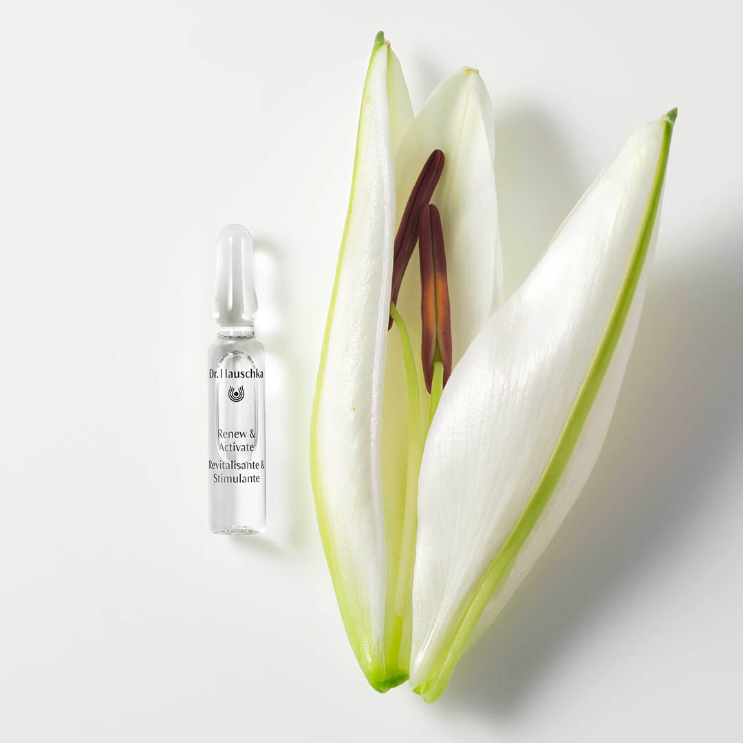 Dr. Hauschka Renew & Activate Ampoules lifestyle