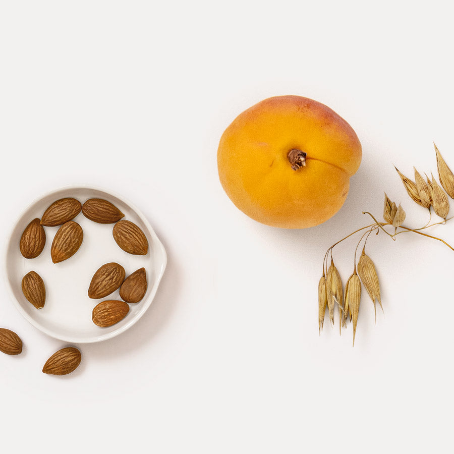 Dr. Hauschka 德國世家杏果煥白水潤日霜 30ml ｜ Apricot Day Cream 30ml